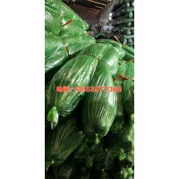 臨沂遮陽(yáng)網(wǎng)生產(chǎn)廠(chǎng)家13853977368