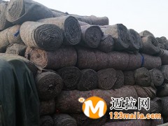 臨沂大棚保溫毛氈廠家,山東防寒毛氈批發(fā)價(jià)格