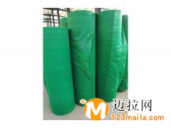 臨沂施工網(wǎng)廠家直銷,山東防塵網(wǎng)批發(fā)