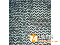 臨沂遮陽網(wǎng)廠家,山東防塵網(wǎng)生產(chǎn)廠家