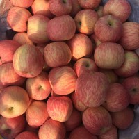 山東沂蒙山紅富士蘋(píng)果及中高端