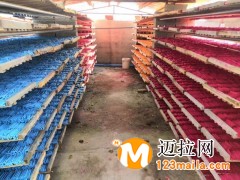 山東粉筆廠家直銷六角彩色無(wú)塵粉筆批發(fā)